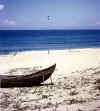Comanche_Beach_at_Lo_Dieu_1967.jpg (37696 bytes)