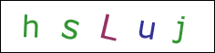 Security Code Image
